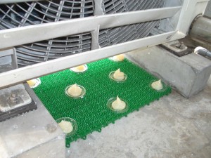 ハト害対策室外機の下