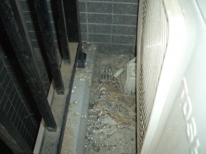 ハト害対策マンションベランダ