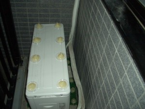 ハト害対策マンションベランダ