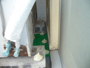 ハト害対策ハトの忌避剤設置